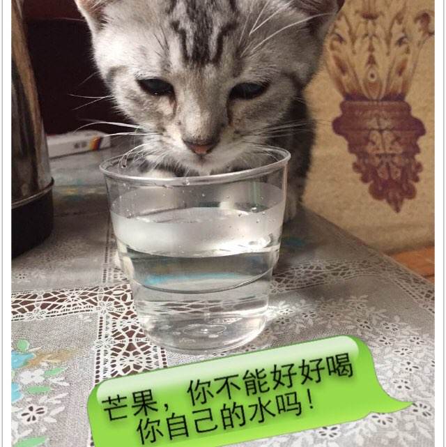 不动产证全国实行了吗